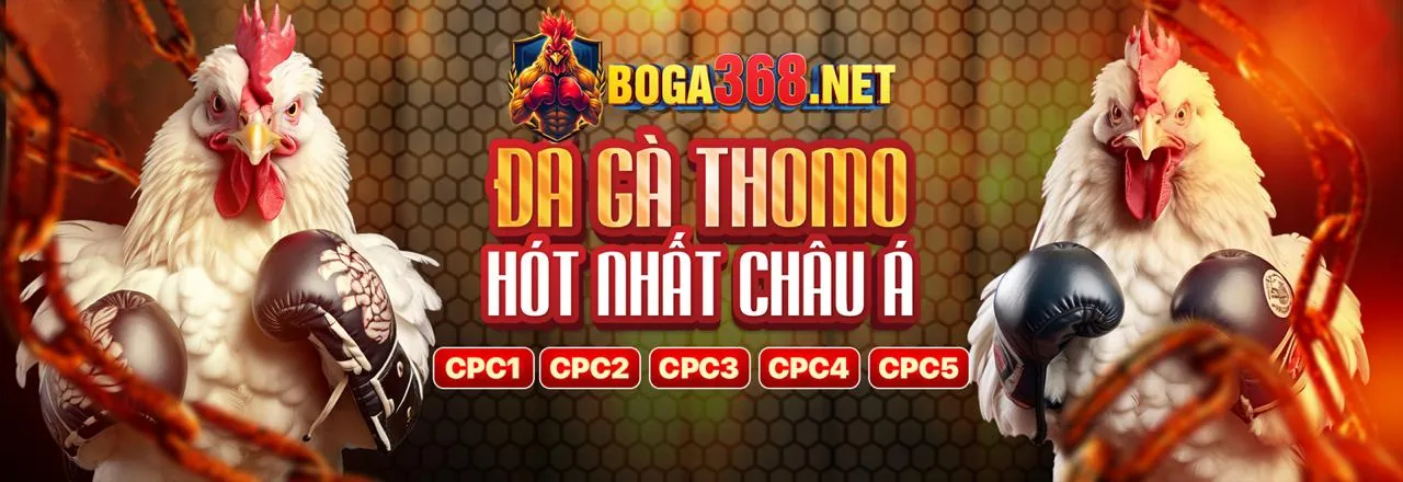 Banner 123b Đăng Nhập Chính Thức 2025