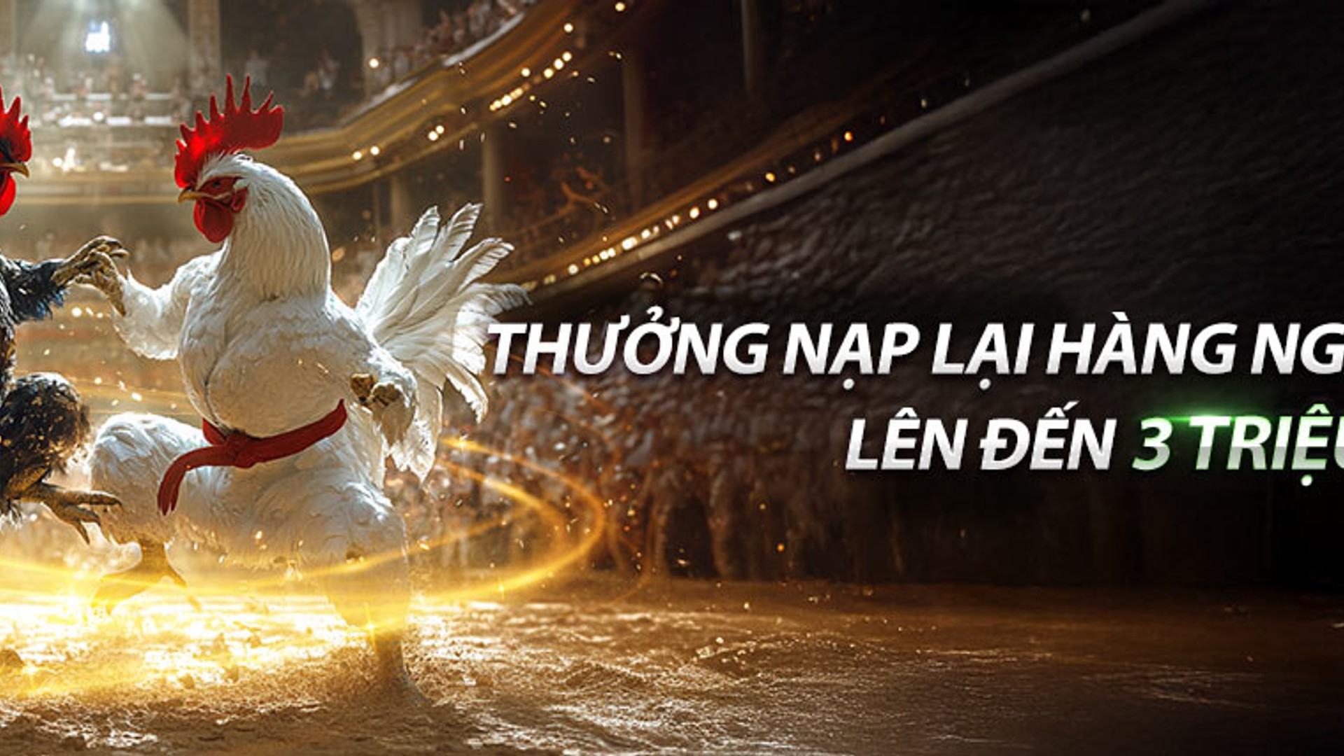 Hình ảnh banner trang hỗ trợ 88xx và xx88