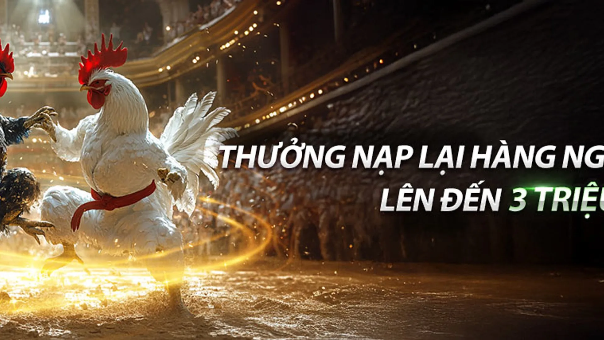 Hình ảnh banner trang hỗ trợ 88xx và xx88